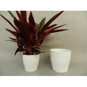 Maceta living blanco.