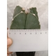 Astrophytum myriostigma cuatricostatum nudum - 2 m-7x7 rf. 280124 3
